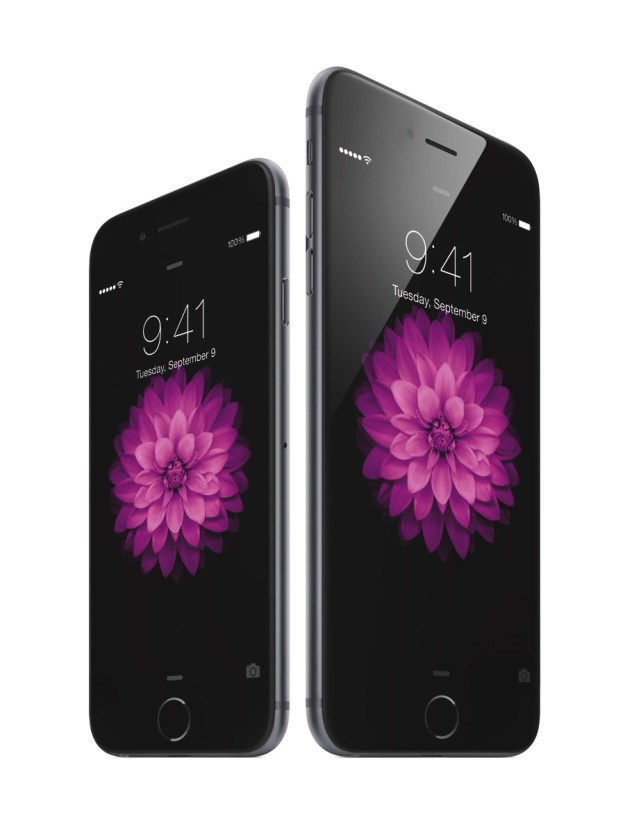 iPhone6-34R-SpGry_iPhone6Plus-34L-SpGry-flwr